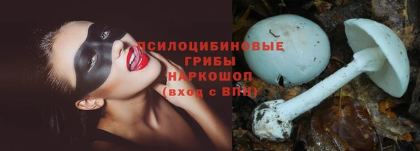 крисы Бугульма