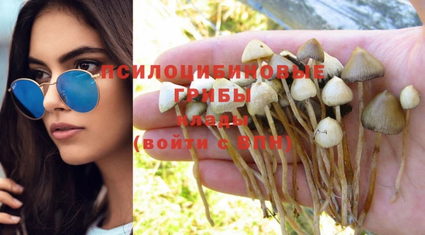 тгк Верея