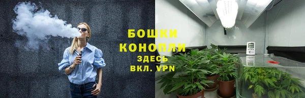 крисы Бугульма